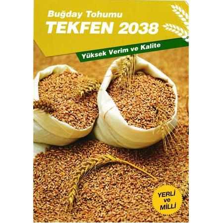 TEKFEN 2038 BUĞDAY TOHUMU