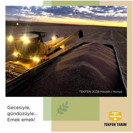 TEKFEN 2038 BUĞDAY TOHUMU
