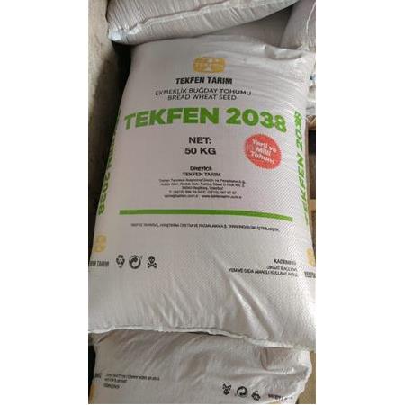 TEKFEN 2038 BUĞDAY TOHUMU